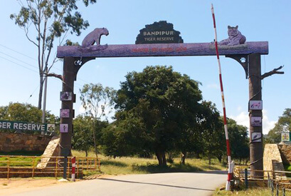 Bandipur National Park