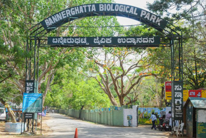 Bannerghatta National Park