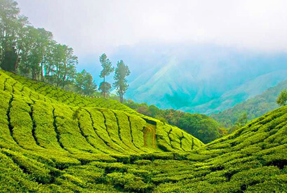 Munnar