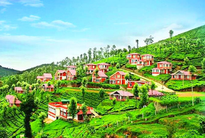 Ooty